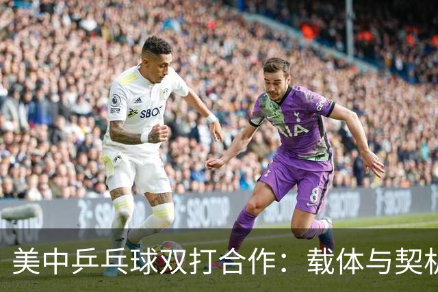 美中乒乓球双打合作：载体与契机的相互借鉴